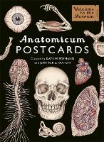 Book Cover for Anatomicum Postcard Box by Jennifer Z Paxton