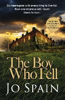 Book Cover for The Boy Who Fell by Jo Spain