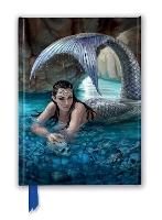 Book Cover for Anne Stokes: Hidden Depths (Foiled Journal) by Flame Tree Studio