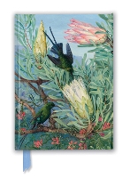 Book Cover for Kew Gardens' Marianne North: Honeyflowers and Honeysuckers (Foiled Journal) by Flame Tree Studio