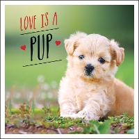 Book Cover for Love is a Pup by Charlie Ellis