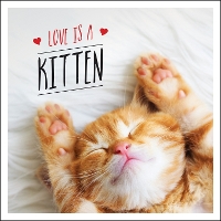 Book Cover for Love is a Kitten by Charlie Ellis