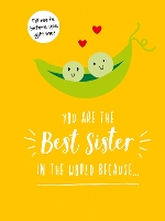 Book Cover for You Are the Best Sister in the World Because… by Summersdale Publishers