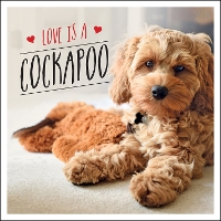 Book Cover for Love is a Cockapoo by Charlie Ellis