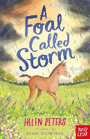 Book Cover for A Foal Called Storm by Helen Peters