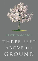 Book Cover for Three Feet Above the Ground by Heather Goddin