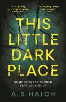 Book Cover for This Little Dark Place by A. S. Hatch