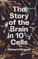 Book Cover for The Story of the Brain in 10½ Cells by Richard Wingate