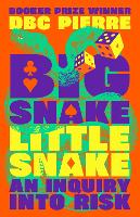 Book Cover for Big Snake Little Snake by DBC Pierre