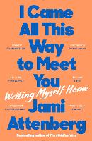 Book Cover for I Came All This Way to Meet You by Jami Attenberg