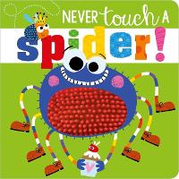 Book Cover for Never Touch A Spider! by Rosie Greening