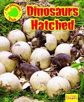 Book Cover for Dinosaurs Hatched by Ruth Owen