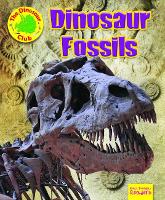 Book Cover for Dinosaur Fossils by Ruth Owen