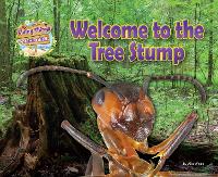 Book Cover for Welcome to the Tree Stump by Alix Wood