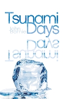 Book Cover for Tsunami Days by John Barnie