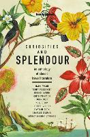 Book Cover for Lonely Planet Curiosities and Splendour by Lonely Planet