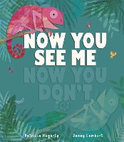 Book Cover for Now You See Me, Now You Don’t by Patricia Hegarty