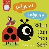 Book Cover for Ladybird Ladybird What Can You See? by Amelia Hepworth