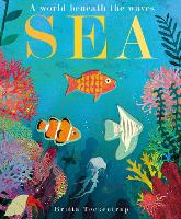 Book Cover for Sea by Patricia Hegarty