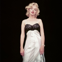 Book Cover for The Essential Marilyn Monroe by Joshua Greene