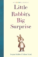 Book Cover for Little Rabbit's Big Surprise by Swapna Haddow