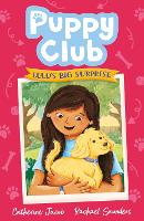 Book Cover for Lulu's Big Surprise by Catherine Jacob