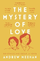 Book Cover for The Mystery of Love by Andrew Meehan