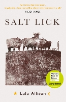 Book Cover for Salt Lick by Lulu Allison