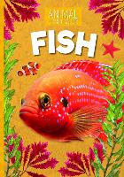 Book Cover for Fish by Steffi Cavell-Clarke, Natalie Carr