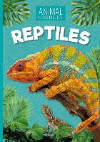 Book Cover for Reptiles by Steffi Cavell-Clarke