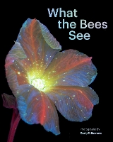 Book Cover for What the Bees See by Craig P. Burrows