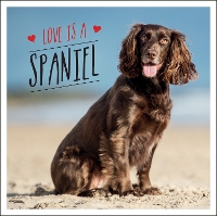 Book Cover for Love is a Spaniel by Charlie Ellis