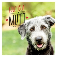 Book Cover for Love is a Mutt by Charlie Ellis