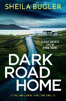 Book Cover for Dark Road Home by Sheila Bugler