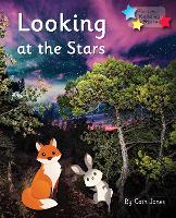 Book Cover for Looking at the Stars by Cath Jones