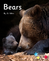 Book Cover for Bears by Jill Atkins