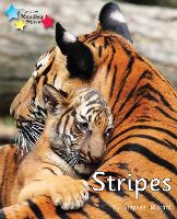 Book Cover for Stripes by Stephen Rickard