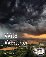 Book Cover for Wild Weather by Jill Atkins