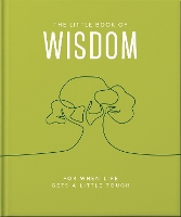 Book Cover for The Little Book of Wisdom by Orange Hippo!