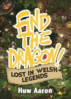 Book Cover for Find the Dragon! by Huw Aaron