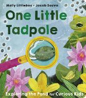 Book Cover for One Little Tadpole by Molly Littleboy