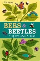 Book Cover for Bees & Beetles by Molly Littleboy