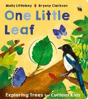 Book Cover for One Little Leaf by Molly Littleboy