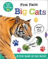Book Cover for First Facts Big Cats by Georgie Taylor
