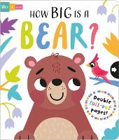 Book Cover for How Big is a Bear? by Lisa Regan