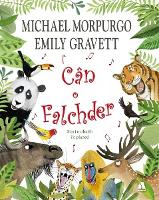 Book Cover for Cân o Falchder by Michael Morpurgo