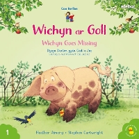 Book Cover for Cyfres Cae Berllan: Wichyn ar Goll / Wichyn Goes Missing by Heather Amery