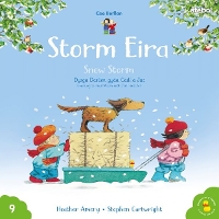 Book Cover for Cyfres Cae Berllan: Storm Eira / Snow Storm by Heather Amery