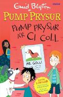 Book Cover for Pump Prysur a’r Ci Coll by Enid Blyton