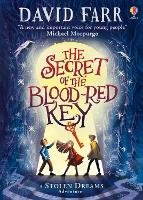 Book Cover for The Secret of the Blood-Red Key by David Farr